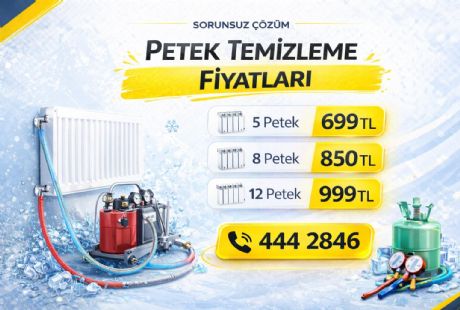 Petek Temizleme Fiyatları